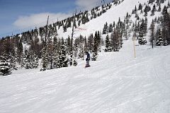 14J Finally Reached The Tree Line On Goats Eye Mountain Ski Area At Banff Sunshine Ski Area.jpg